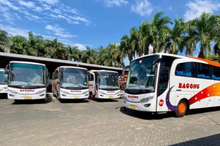 Rute dan Jadwal Bus Bagong Malang - Blitar Terbaru 2025, Catat Jamnya Agar Tidak Ketinggalan!