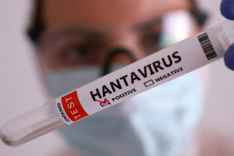 Apa Itu Hantavirus? Waspada Pandemi Baru! Telah Ditemukan Lebih dari 200 Kasus Tersebar di Indonesia