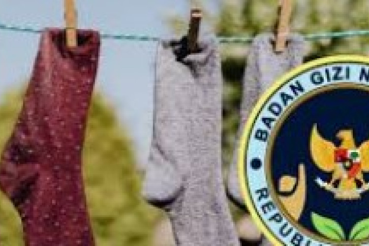 Anggaran Kaos Kaki SPPG Rp6,9 Miliar, Dampak Kontroversi Anggaran Perlengkapan terhadap Program Makan Bergizi Gratis