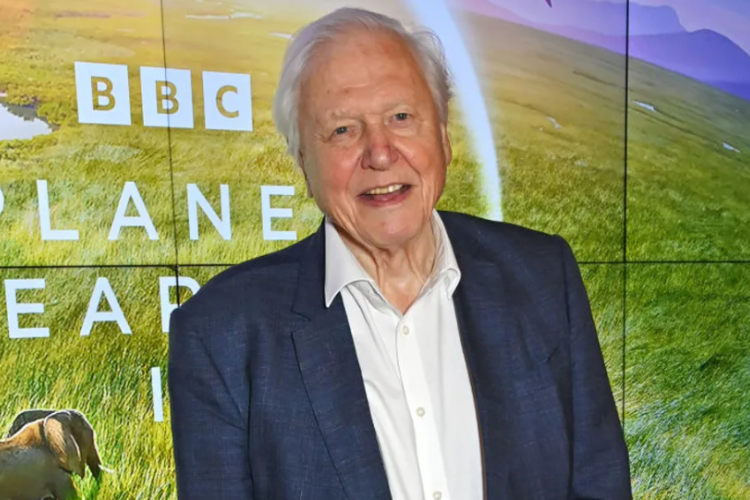 Presenter Senior Asal Inggris David Attenborough Rayakan Ulang Tahun ke-100, King Charles Hingga David Beckam Beri Ucapan