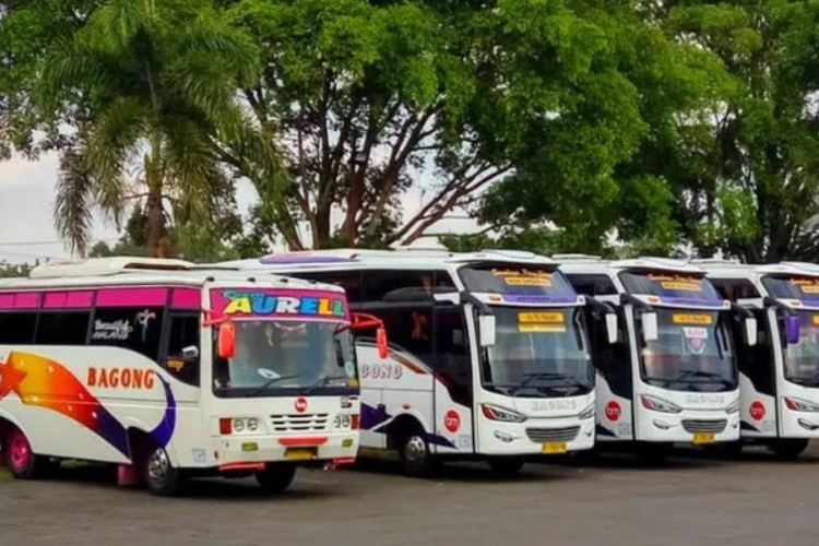 Jadwal Bus Bagong Blitar - Malang Terbaru 2025, Dilengkapi Informasi Harga Tiket dan Jalurnya