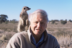 Profil dan Biodata David Attenborough, Penyiar Televisi Senior Asal Inggris yang Baru Saja Rayakan Ulang Tahun ke-100