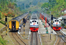 Rekrutmen KAI 2025: Untuk Lulusan SMA Hingga S1, Lengkap dengan Syarat, Formasi, dan Cara Registrasi