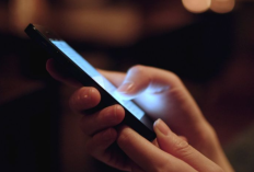 Download Yandex APK EU Asli Terbaru 2025 Gratis Video Viral, Nonton Streaming Klip Terbaik Tanpa Sensor