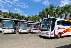 Rute dan Jadwal Bus Bagong Malang - Blitar Terbaru 2025, Catat Jamnya Agar Tidak Ketinggalan!