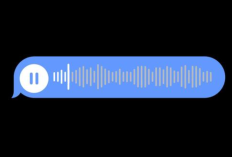 Terungkap Isi Voice Note Terakhir Princess Jennifer Tjiang Sebelum Meninggal, Pihak Kepolisian Masih Terus Lakukan Olah TKP