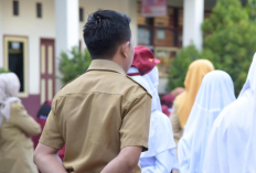 BREAKING NEWS! Guru Honorer Dihapus Tahun 2027, Pemerintah Siapkan Skema Baru Masa Kerja dan Kesejahteraan Guru