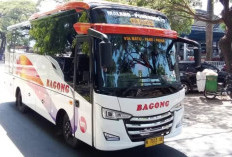 Tarif dan Jadwal Bus Bagong Ponorogo - Malang Terbaru 2025, Trayek Baru! Fasilitas Lebih Memuaskan