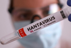 Apa Itu Hantavirus? Waspada Pandemi Baru! Telah Ditemukan Lebih dari 200 Kasus Tersebar di Indonesia