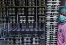 Transparansi Makan Bergizi Gratis: Pengadaan Laptop Jadi Kunci Pengawasan Gizi Nasional