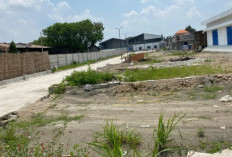 Pabrik Ayam di Jombang Disegel Paksa, Aktivis Desak Transparansi Data Perizinan Usaha Setelah Pabrik Beroperasi