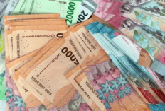 Cara Mendapatkan Uang Cepat dalam 1 Hari Legal dan Tanpa Modal, Banjir Cuan Hingga Milyaran