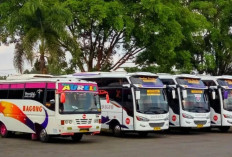 Jadwal Bus Bagong Blitar - Malang Terbaru 2025, Dilengkapi Informasi Harga Tiket dan Jalurnya
